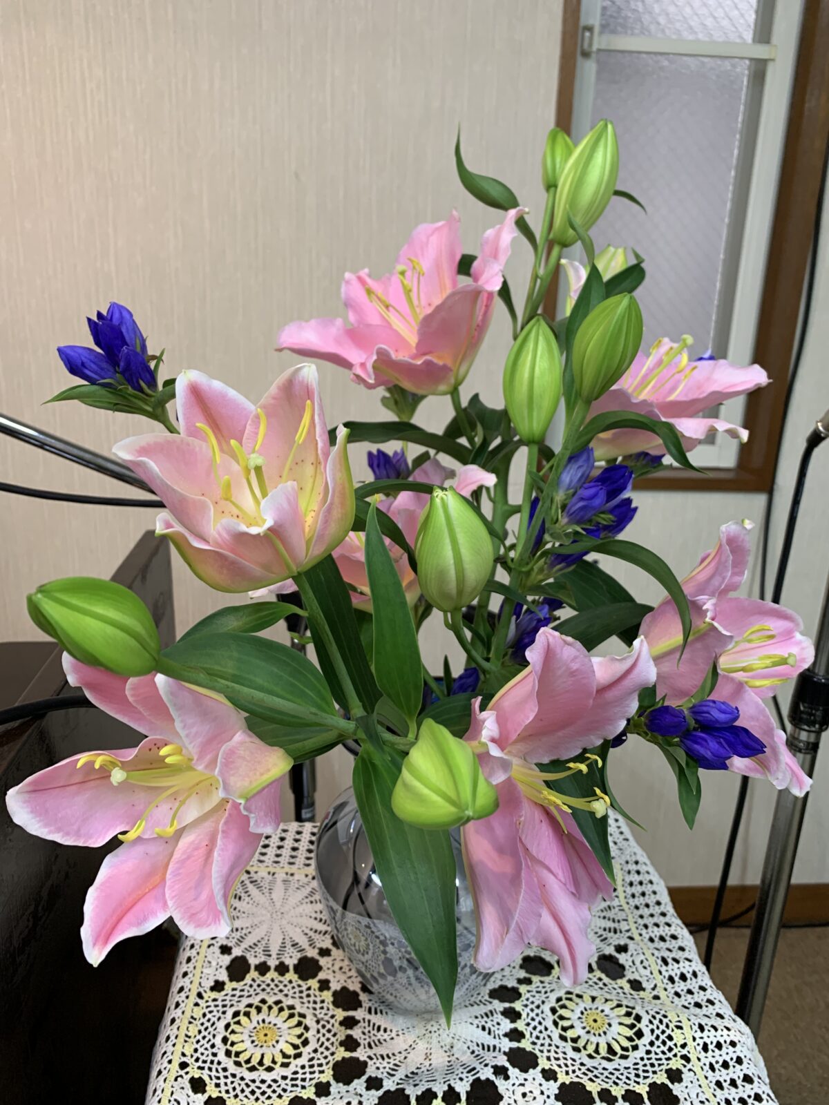 季節のずれを映す花景色