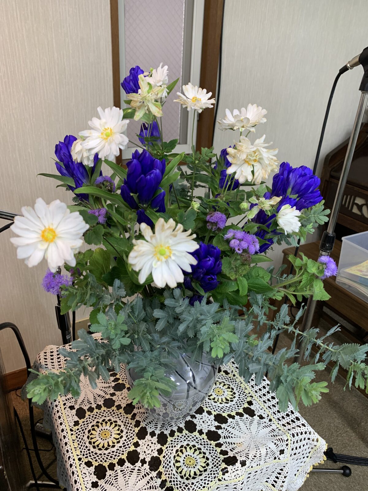 墓前礼拝を迎えた日曜の朝に目にした青りんどうの花