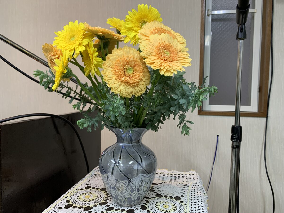 秋の花ではないけれど、秋に見ると気持ちが上向くガーベラの花