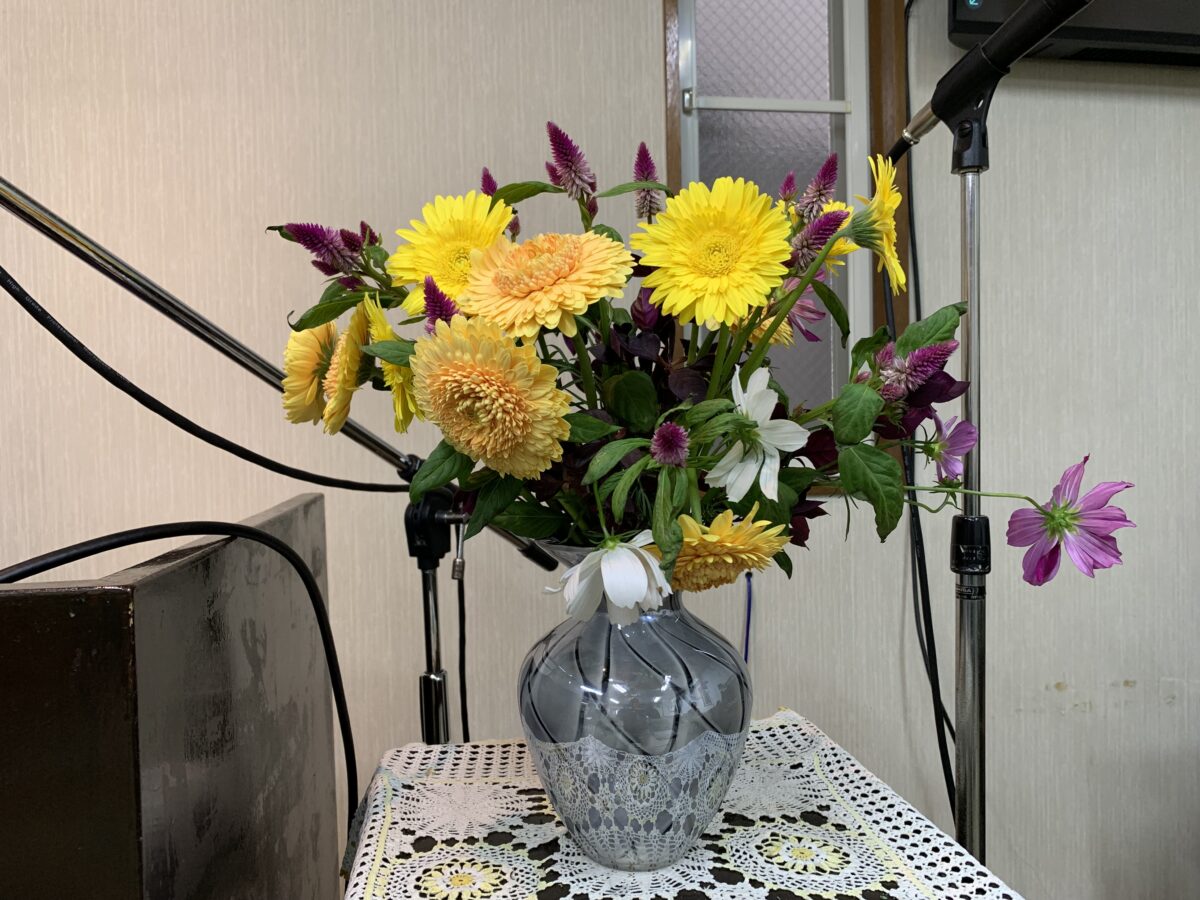 黄色いガーベラは向日葵のような繊細な小さな太陽